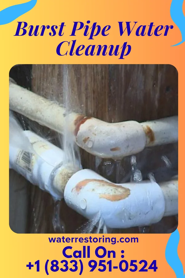 Burst Pipe Water Cleanup in Tekoa, WA