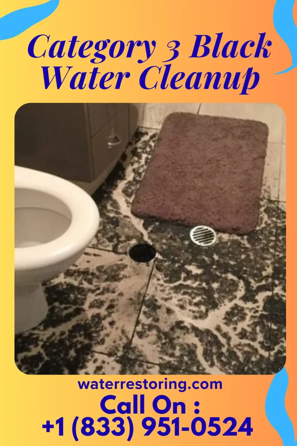 Category 3 Black Water Cleanup in Tekoa, WA