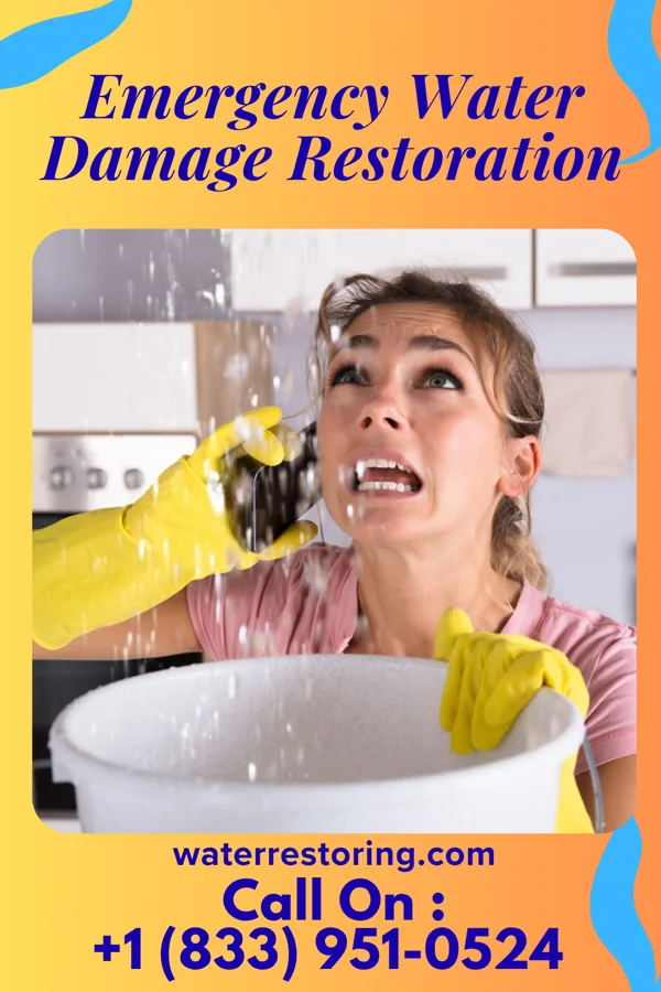 Emergency Water Damage Restoration in Tekoa, WA