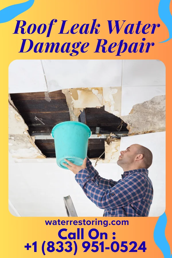 Roof Leak Water Damage Repair in Tekoa, WA
