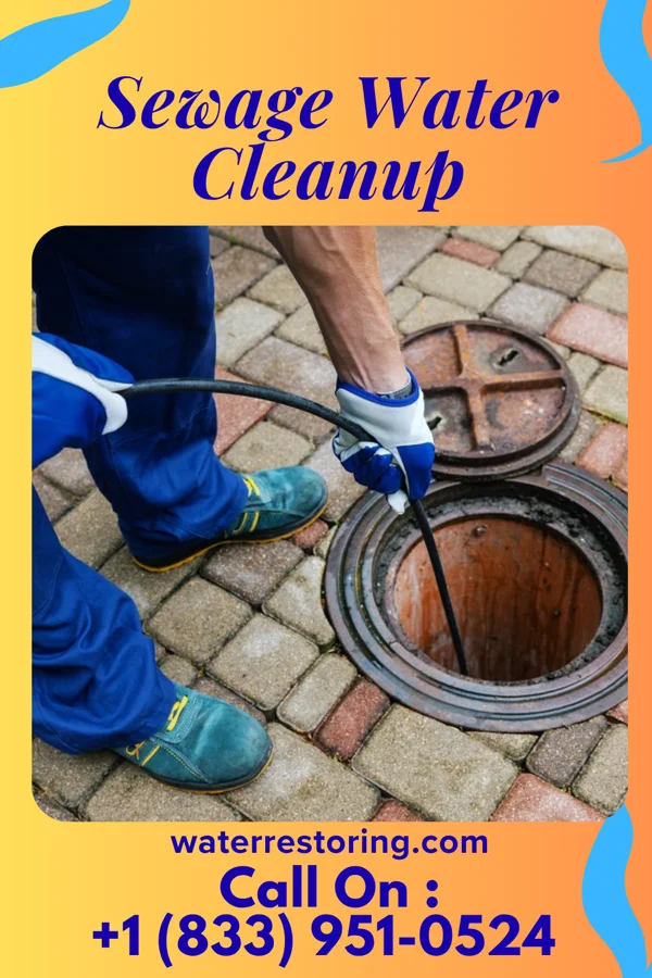 Sewage Water Cleanup in Tekoa, WA